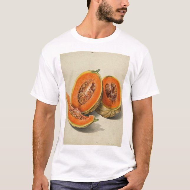 Sliced cantaloupe melon illustration T-Shirt (Front)