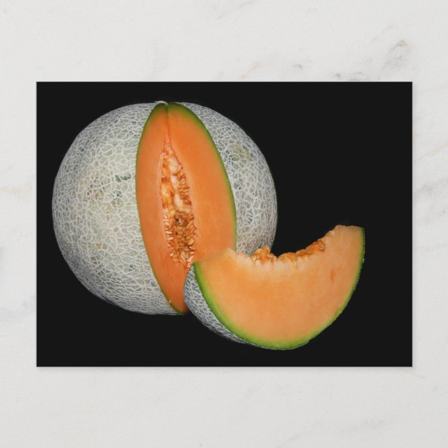 Sliced Cantaloupe Melon Postcard (Front)