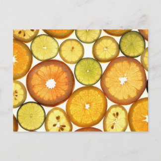 Sliced Citrus Postcard