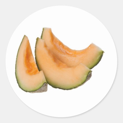 Slices of rockmelon classic round sticker