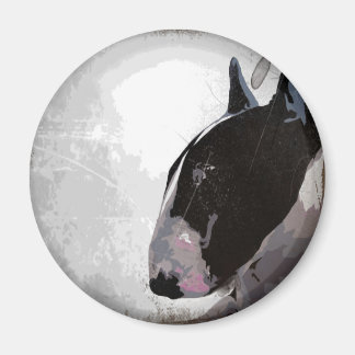 Slick urban English Bull Terrier Fridge magnet