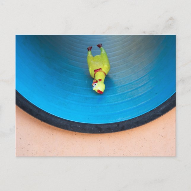 Sliding Rubber Chicken Postcard (Front)