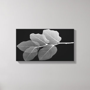 Slim Framed Stretched Canvas Print - XRay New Buds