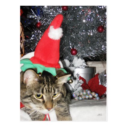 Slim Kitty Elf &amp; the Tinsel Tree Postcard