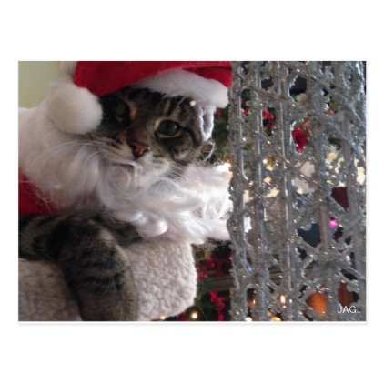 Slim Kitty Santa &amp; the Glitter Tree Postcard