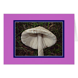Slim Shady Shroom Cards