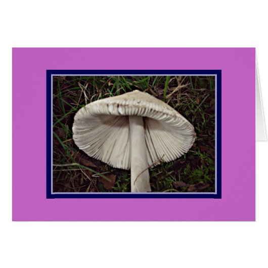 Slim Shady Shroom Cards (Front Horizontal)