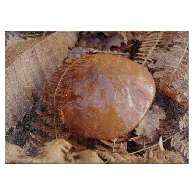 Slippery Jack Mushroom Glass Chopping Board (Front)