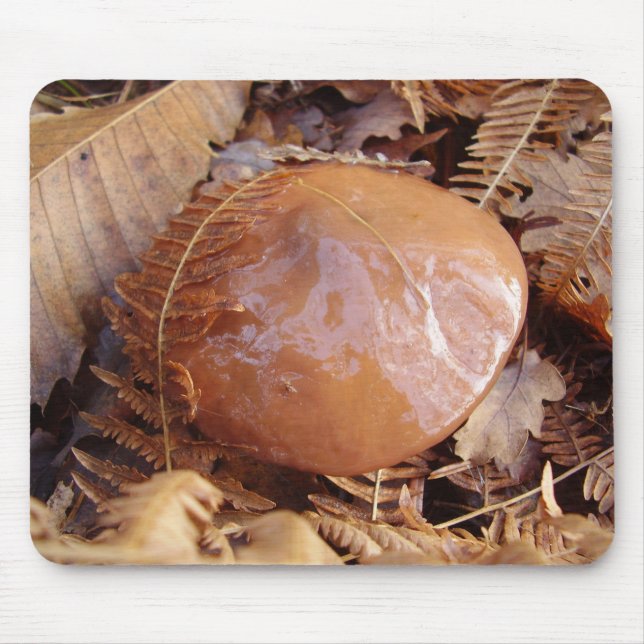 Slippery Jack Mushroom Mouse Mat (Front)