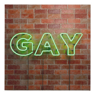 SlipperyJoe illuminated gay neon sign bright vivid