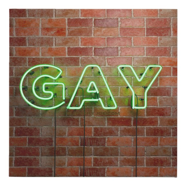 SlipperyJoe illuminated gay neon sign bright vivid (Front)