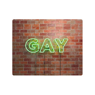 SlipperyJoe illuminated gay neon sign bright vivid