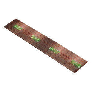SlipperyJoe illuminated gay neon sign bright vivid Ruler