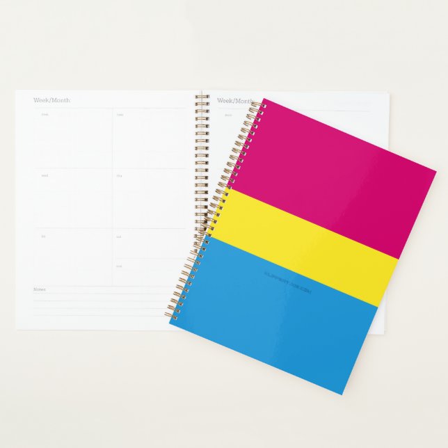 SlipperyJoe pansexual pride flag pink amber and cy Planner (Display)