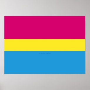 SlipperyJoe pansexual pride flag pink amber and cy Poster