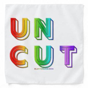 SlipperyJoe uncut vibrant lively neon rainbow ener Bandana