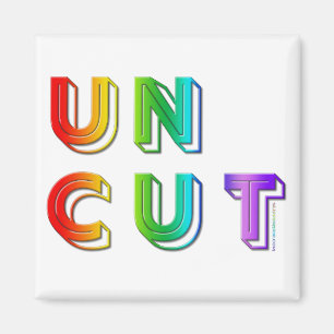 SlipperyJoe uncut vibrant lively neon rainbow ener Magnet
