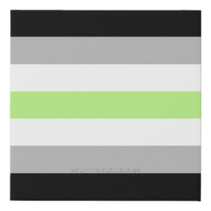 SlipperyJoe's Agender Pride Flag gay gifts LGBTQIA Faux Canvas Print