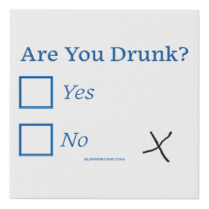 SlipperyJoe's are you drunk humorous slightly sarc Faux Canvas Print