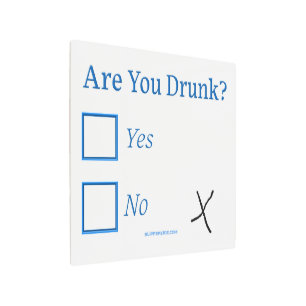 SlipperyJoe's are you drunk humorous slightly sarc Metal Print