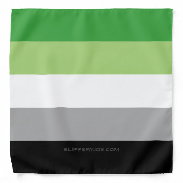 SlipperyJoe's Aromantic Pride Flag gay gifts LGBTQ Bandana (Front)