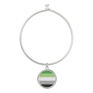 SlipperyJoe's Aromantic Pride Flag gay gifts LGBTQ Bangle Bracelet