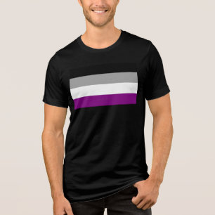 SlipperyJoe's asexual pride flag emphasizing inclu Tri-Blend Shirt