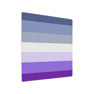SlipperyJoe's Butch Lesbian Pride Flag represent b Metal Print