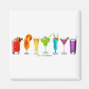 SlipperyJoe's cheers alcohol cocktails LGBTQIA gay Magnet