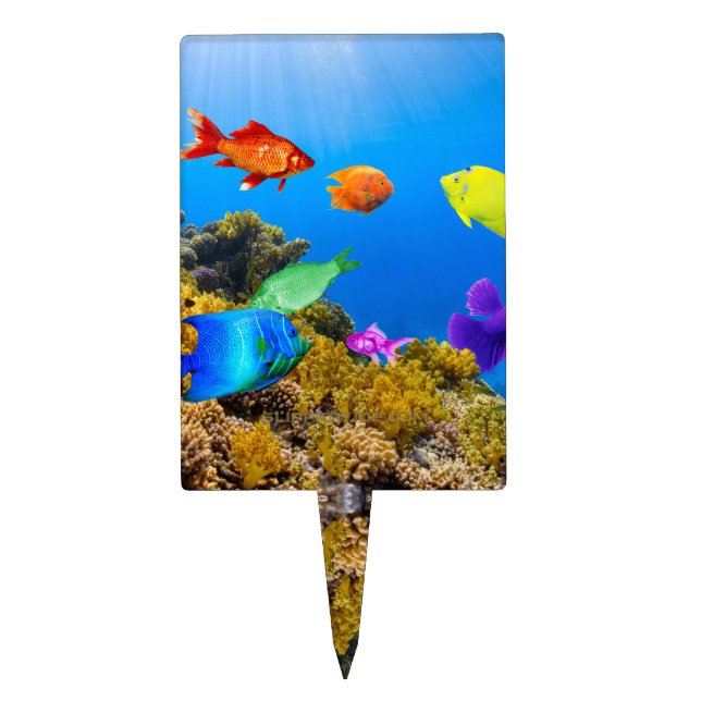 SlipperyJoe's Fish Pride tropical green blue purpl Cake Topper (Front)