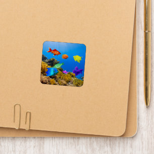 SlipperyJoe's Fish Pride tropical green blue purpl Patch