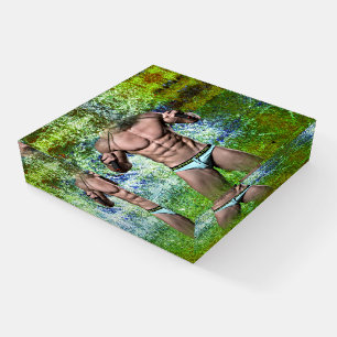 SlipperyJoe's highly muscular adult man shirtless Paperweight