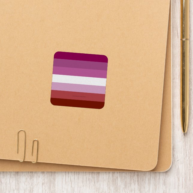 SlipperyJoe's lesbian pride flag feminine communit Patch (On Folder)