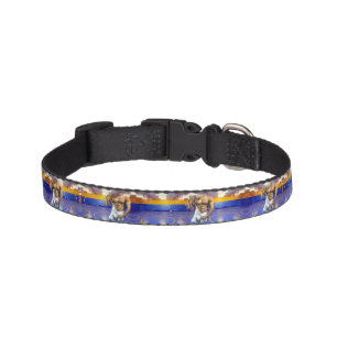 SlipperyJoe's muscular man bulge six-pack gym trai Pet Collar