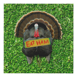 SlipperyJoe's proud turkey eat ham red wattle hang Faux Canvas Print
