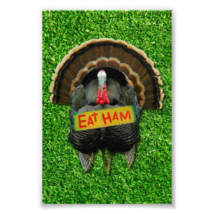 SlipperyJoe's proud turkey eat ham red wattle hang Photo Print
