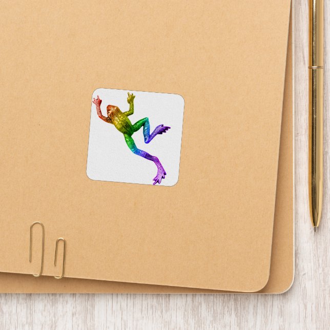 SlipperyJoe's rainbow colored frog rendered sculpt Patch (On Folder)