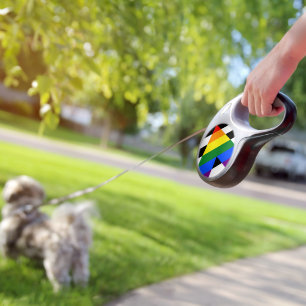SlipperyJoe's straight ally flag smooth rainbow gr Retractable Pet Leash