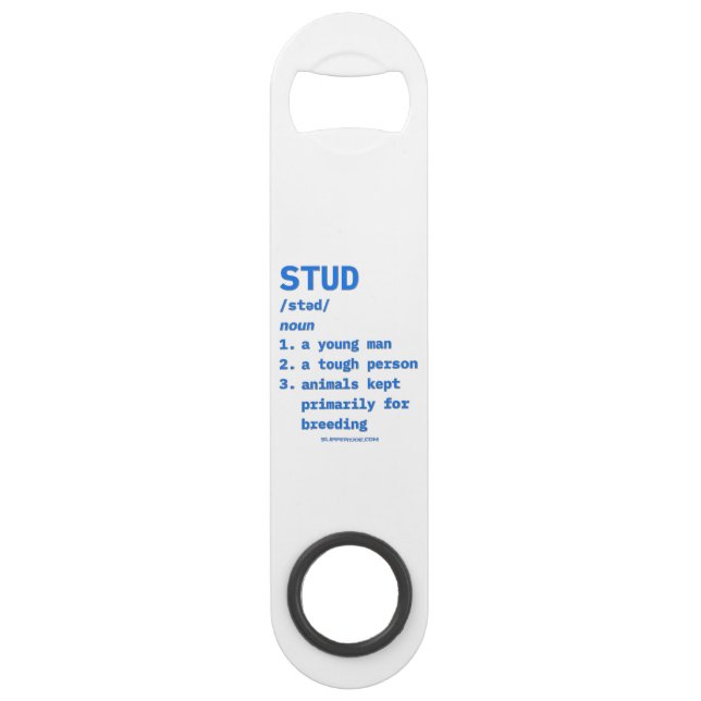 SlipperyJoe's stud definition animals dictionary b Bar Key (Front)