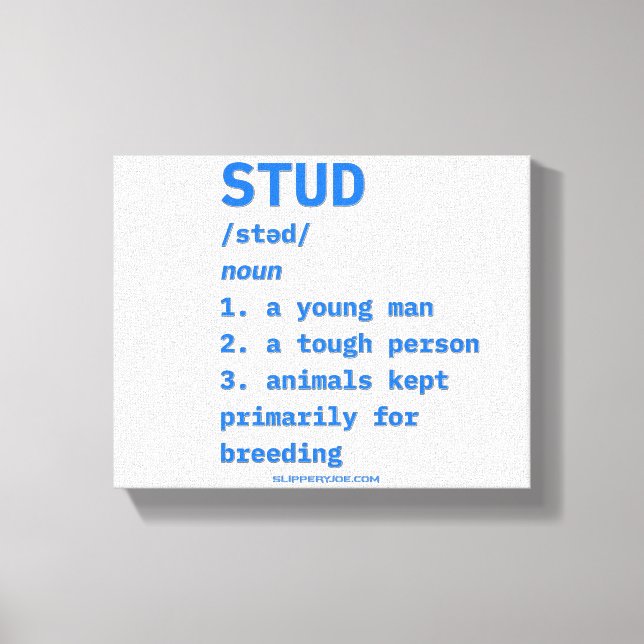 SlipperyJoe's stud definition animals dictionary b Canvas Print (Front)