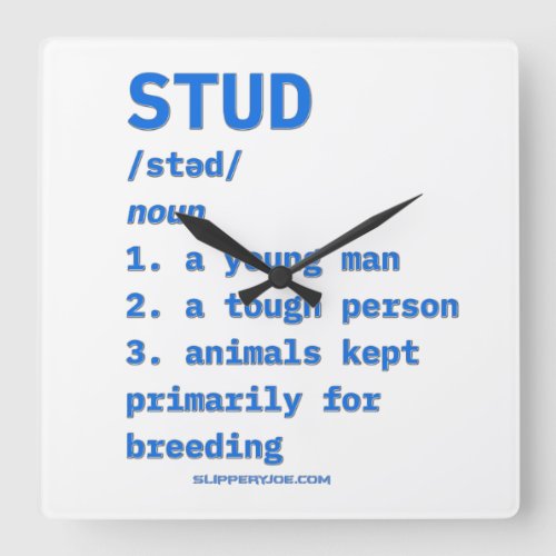 SlipperyJoes stud definition animals dictionary b Square Wall Clock