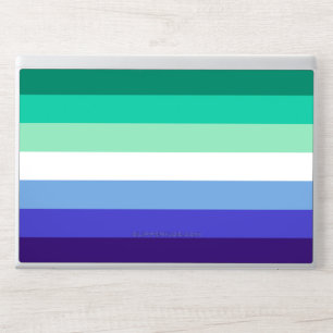 SlipperyJoe's trans-inclusive gay men's flag palet HP Laptop Skin