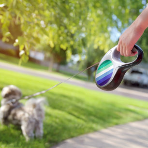 SlipperyJoe's trans-inclusive gay men's flag palet Retractable Pet Leash