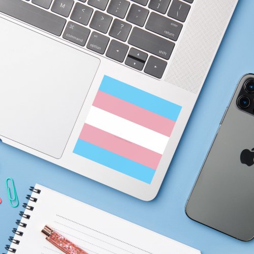 SlipperyJoes transgender pride flag diversity rig Sticker