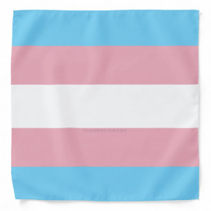 SlipperyJoe's transgender pride flag visibility di Bandana