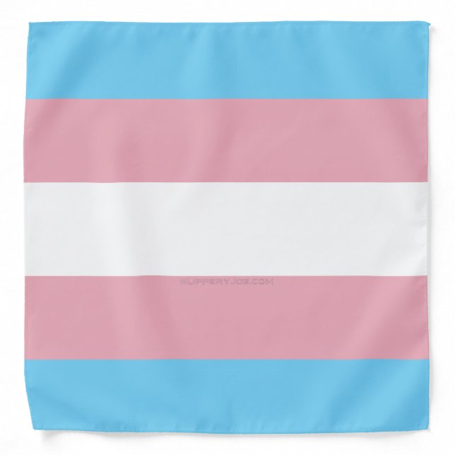 SlipperyJoe's transgender pride flag visibility di Bandana (Front)