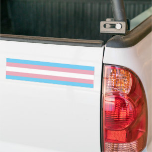 SlipperyJoe's transgender pride flag visibility di Bumper Sticker