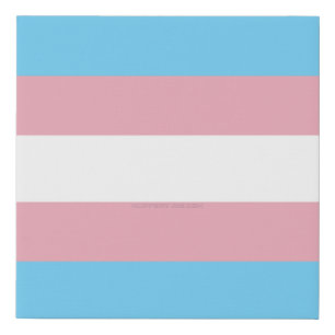 SlipperyJoe's transgender pride flag visibility di Faux Canvas Print