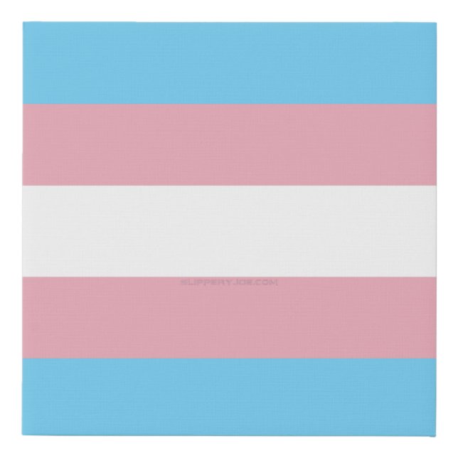 SlipperyJoe's transgender pride flag visibility di Faux Canvas Print (Front)