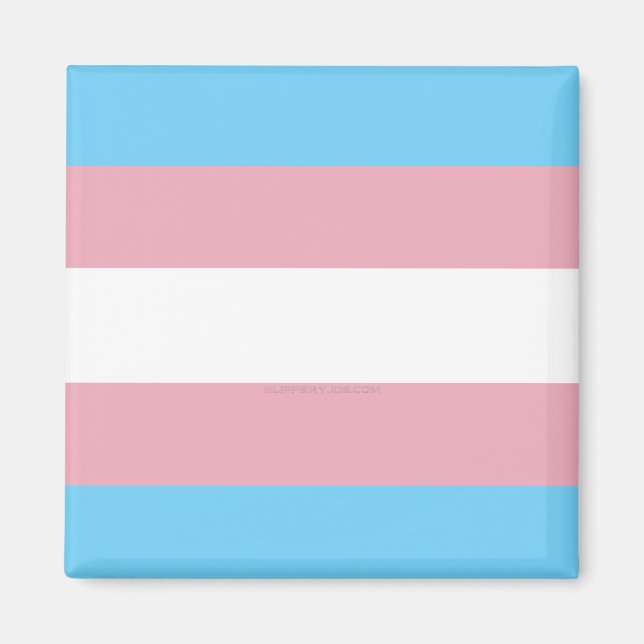 SlipperyJoe's transgender pride flag visibility di Magnet (Front)